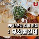 포승서로 | 포승맛집 : 무쇠쫄갈비