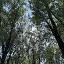 씨유(CU) 당산역한강점 | 지금 가기 딱 좋은 서울 피크닉 명소 🌿양화한강공원 | 엽떡 + 교촌 허니순살 조합은 못 참지...