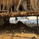 손의개농장 이미지