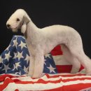 베틀농장 이미지