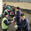 장수면행정복지센터 이미지