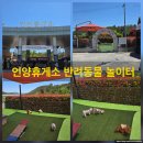 언양(서울)휴게소 | [경부고속도로 반려동물휴게소] 언양휴게소(서울방향) 반려견놀이터 후기