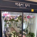 마음이닿다 이미지