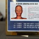 블라썸 에스테틱 - 안산시 단원구 | 블라썸 에스테틱
