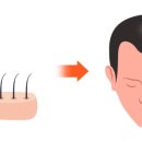 리게인프로젝트 이미지