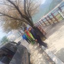 충주호체험 이미지