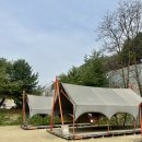 넓은마당 | 📍포천 애견동반 캠핑장 ‘넓은마당캠핑장’ 내돈내산 후기 🏕️🐶