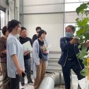 나주시농업기술센터 | 나주시 윤병태 시장 스마트팜 멜론기술 교육으로 농업 미래 선도!