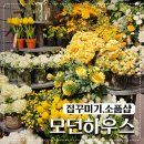 모던하우스 | 집꾸미기 소품샵 모던하우스 일산킨텍스점 방문후기