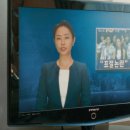 코믹 영화 '와일드씽(2026)' 상세 줄거리 결말 후기 해석 평점 정보 | 아이돌 트라이앵글 20년만에 복귀...
