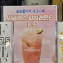 티글라스 | 2026부산항포트빌리지축제 홍닝차 씨글라스피치레몬티8,900원 후기!!!