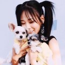 필굿미디어 이미지