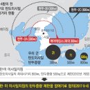 파장군 이미지