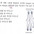 캘빈회로/세균,바이러스 성장곡선/친수성,소수성 아미노산/스플라이싱/RT/염증반응 이미지