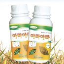 아라아라 이미지