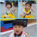 배곧 청록태권도장 이미지