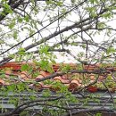 돌우물길 이미지