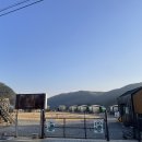 제2리라유치원 | 강원도에서 강아지와 함께하는 최고의 캠핑(feat.양양 리라캠프 카라반 쏠캠)