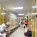 (주)바바우통가뉴질랜드 | 【뉴질랜드 워홀】 뉴질랜드 생선공장 시즌잡 'Sealord' 후기 <3편> - 동료, 급여