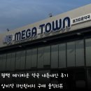 평택제일약국 | 평택 메가타운 약국 내돈내산 후기 상비약 11만원어치 구매 솔직리뷰