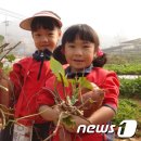 미륵산 자연학교 이미지