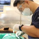 수플러스치과기공소 이미지