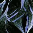 향수축산 이미지