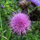 포유펜션 이미지