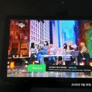 포항상생숲길(효자교회앞) | 2025 포항 철길숲 야행 (With V.O.S, 범진) (2025-09-26)