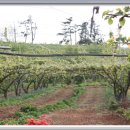 횃불농장 이미지