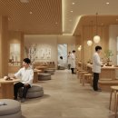 MZ세대가 주목하는 한방의 새로운 매력