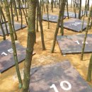 용두해수욕장 숲속야영장 이미지