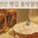 크러쉬온몰랑몰랑 이미지