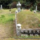 송병수의원 Daum카페