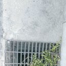 접도편의점 이미지