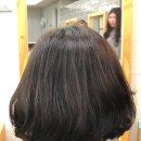 헤어끌레오 이미지