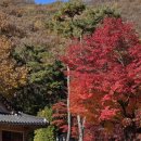 한미산 흥국사 나한전 | 형형색색 단풍절정 노고산이 품고 있는 고양 흥국사 수능기도 통일신라 천년고찰 서울 근교 여행 가볼만...