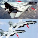 GR(예산군)-[추사로]-상-16 | F-14 톰캣(F-14 Tomcat) [5]