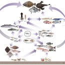 남해-165 이미지