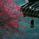 광석