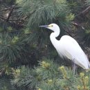 백학저수지 이미지