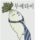 무에타이 이미지