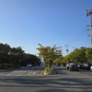 팔마종합운동장 팔마주경기장 이미지