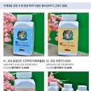 애견수제영양파우더 특허출원 눈물자국제거 기념이벤트
