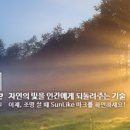 주식회사 라이크 이미지