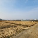 장항1리마을회관 이미지