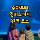 코엑스 씨라이프 아쿠아리움 with 레고랜드X코엑스 연간회원권 후기