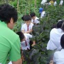 위즈캐슬 이미지