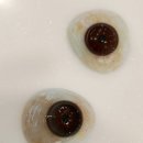 오렌즈 엔터식스 안양점 네이버블로그