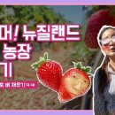 리안이네농장 이미지